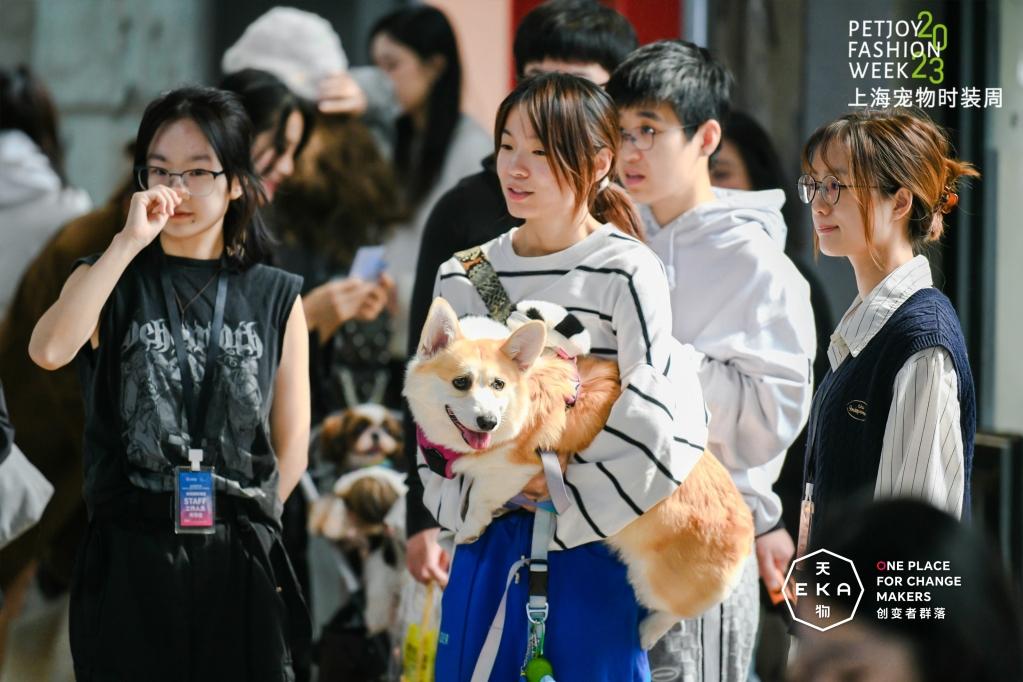 上海宠物时装周海选活动