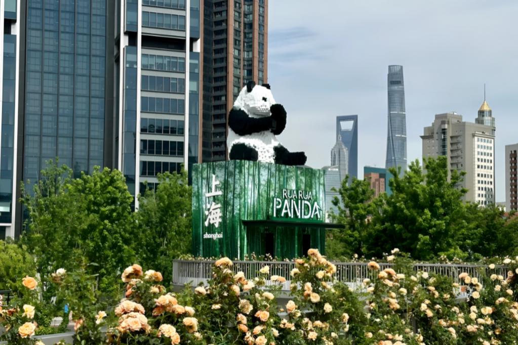 上海苏河湾万象天地大熊猫主题全球巡展（中国首站）